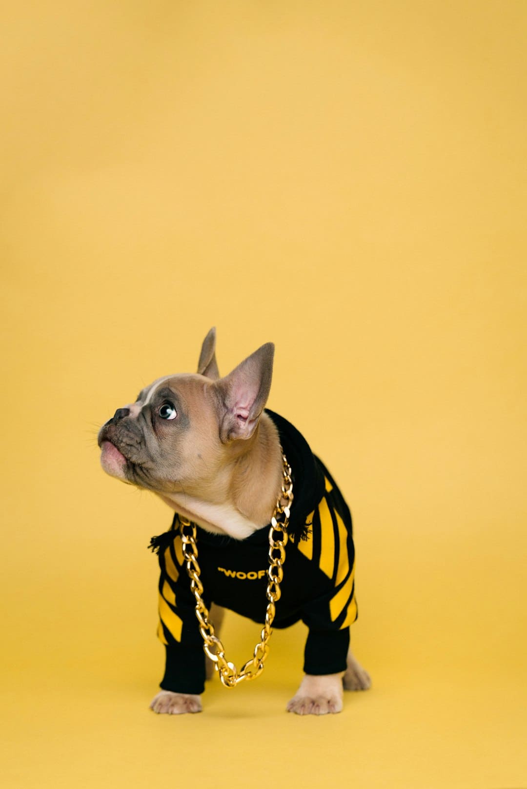 许玮甯生娃后复工 状态大好美丽依旧